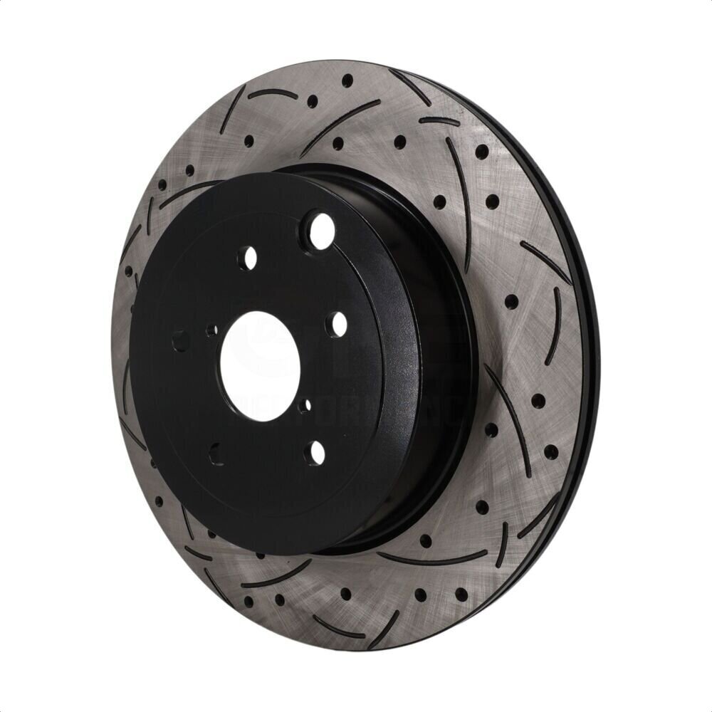 DS-One DS1-DS8381 Disc Brake Rotor