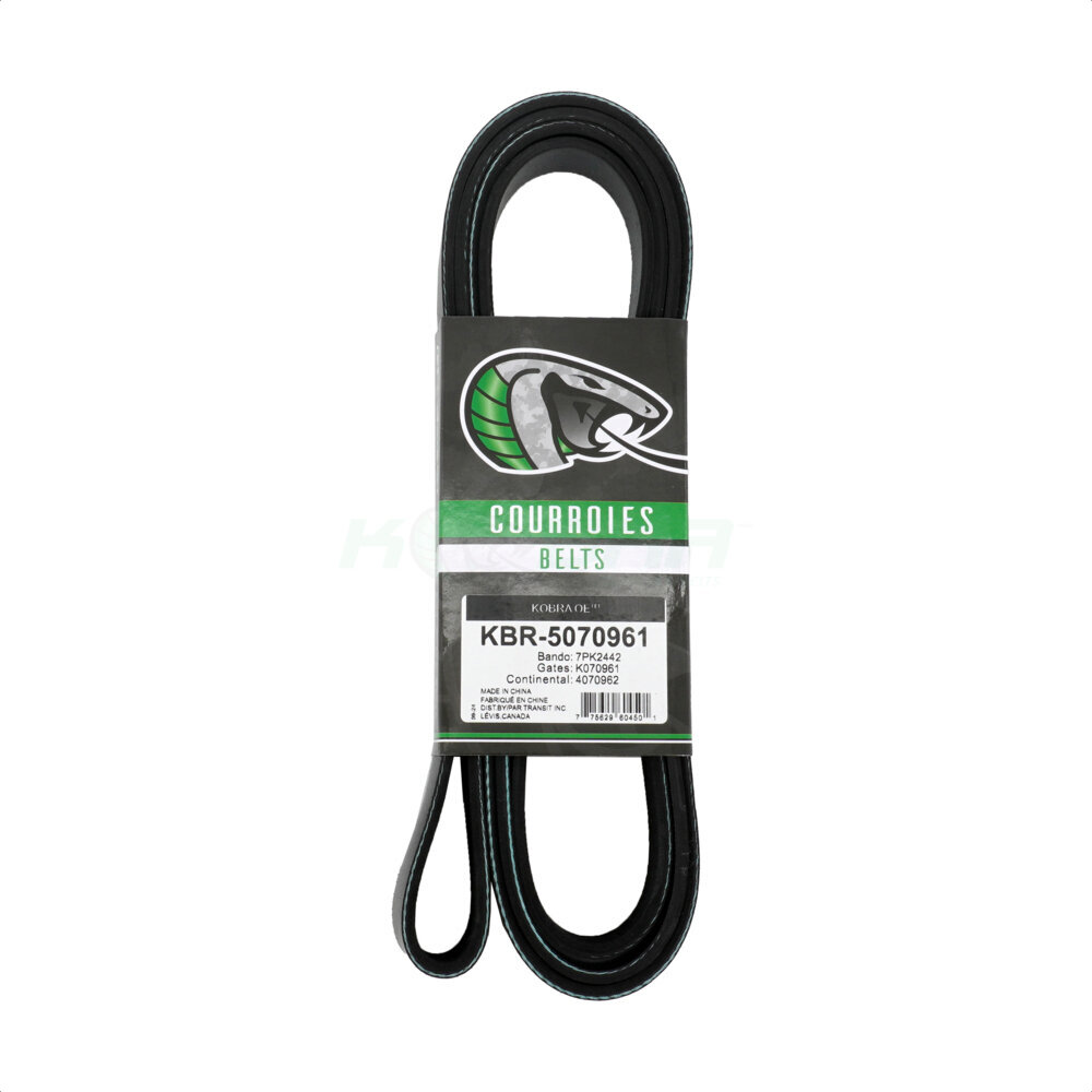 Kobra KBR-5070961 Serpentine Belt